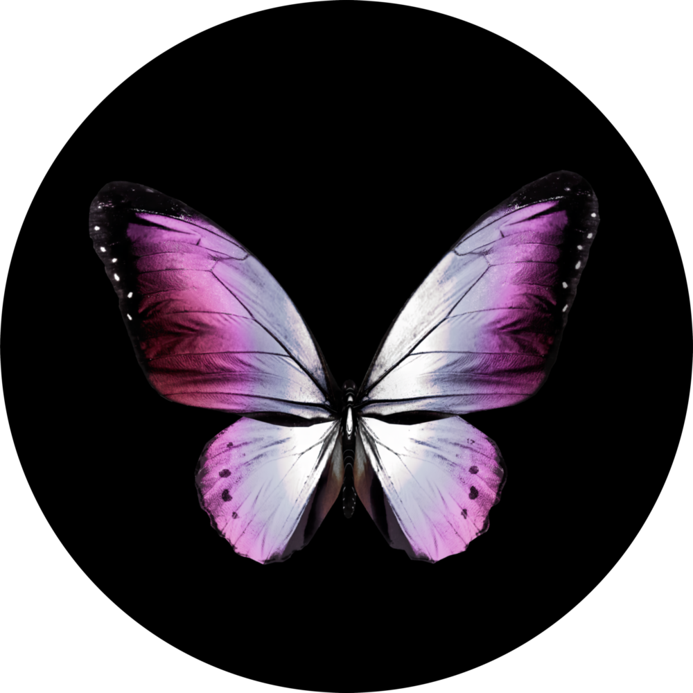 Butterfly Glass Wall Art