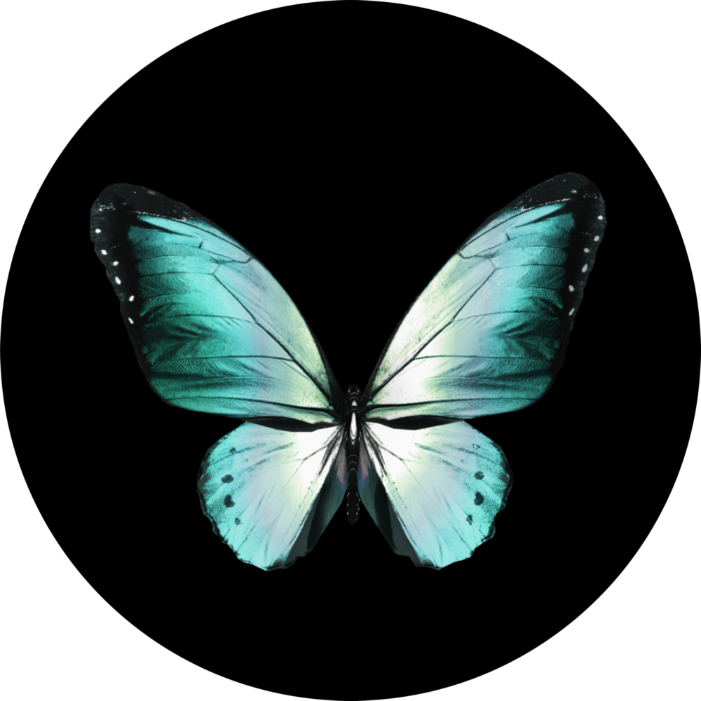 Butterfly Glass Wall Art