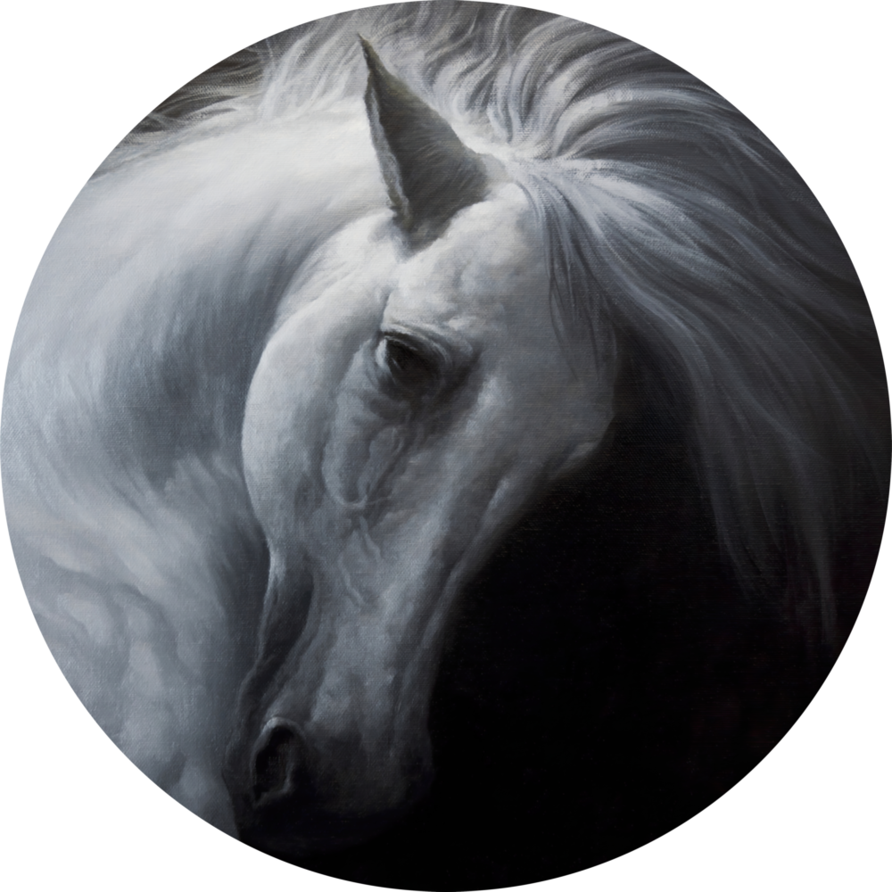Horse Glass Wall Art