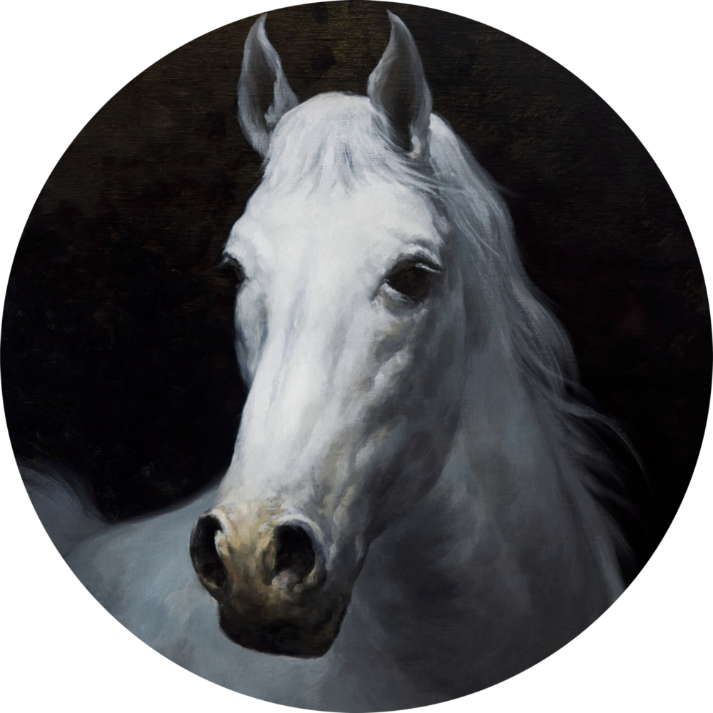 Horse Glass Wall Art