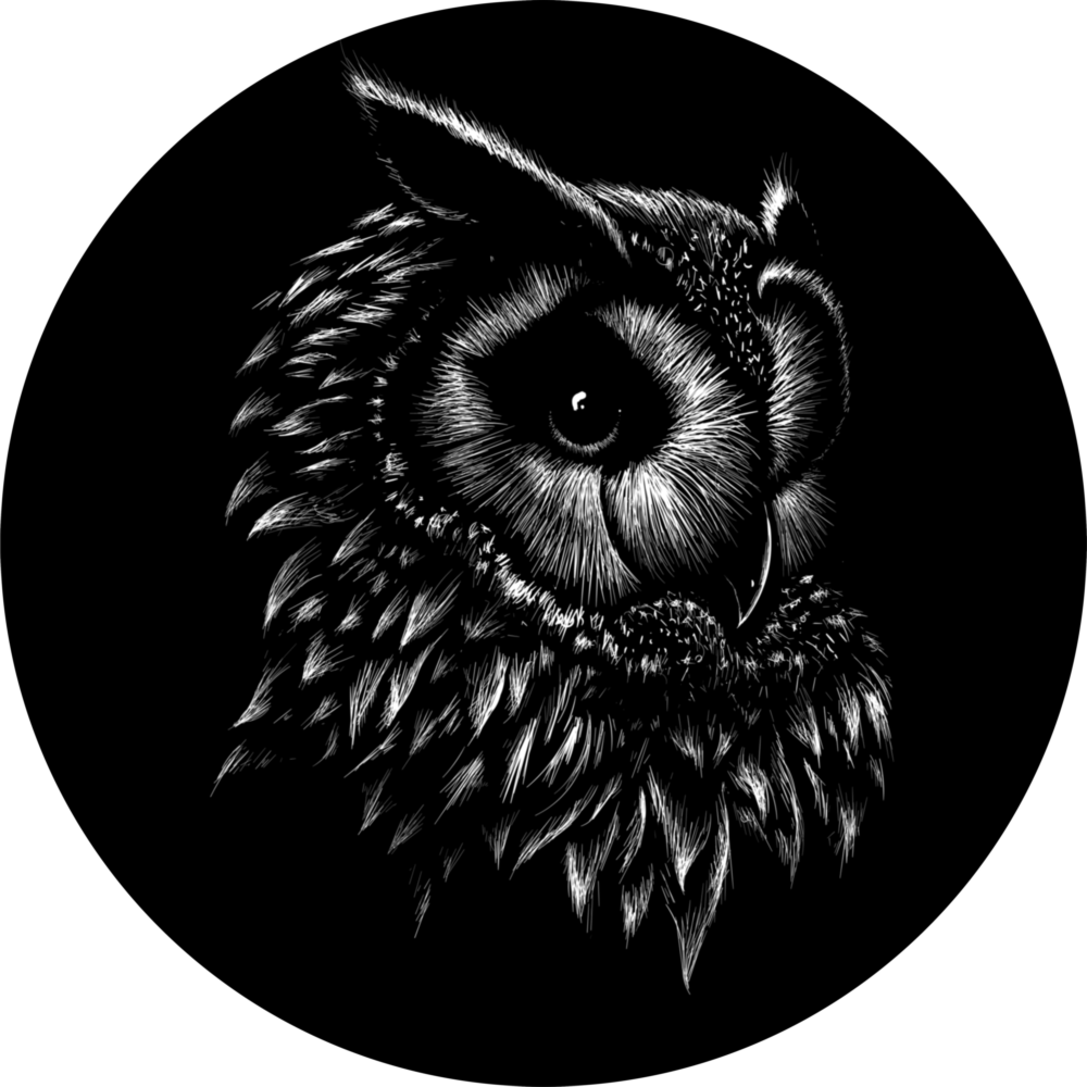 Owl Glass Wall Art