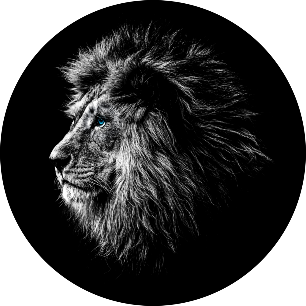 Lion Glass Wall Art