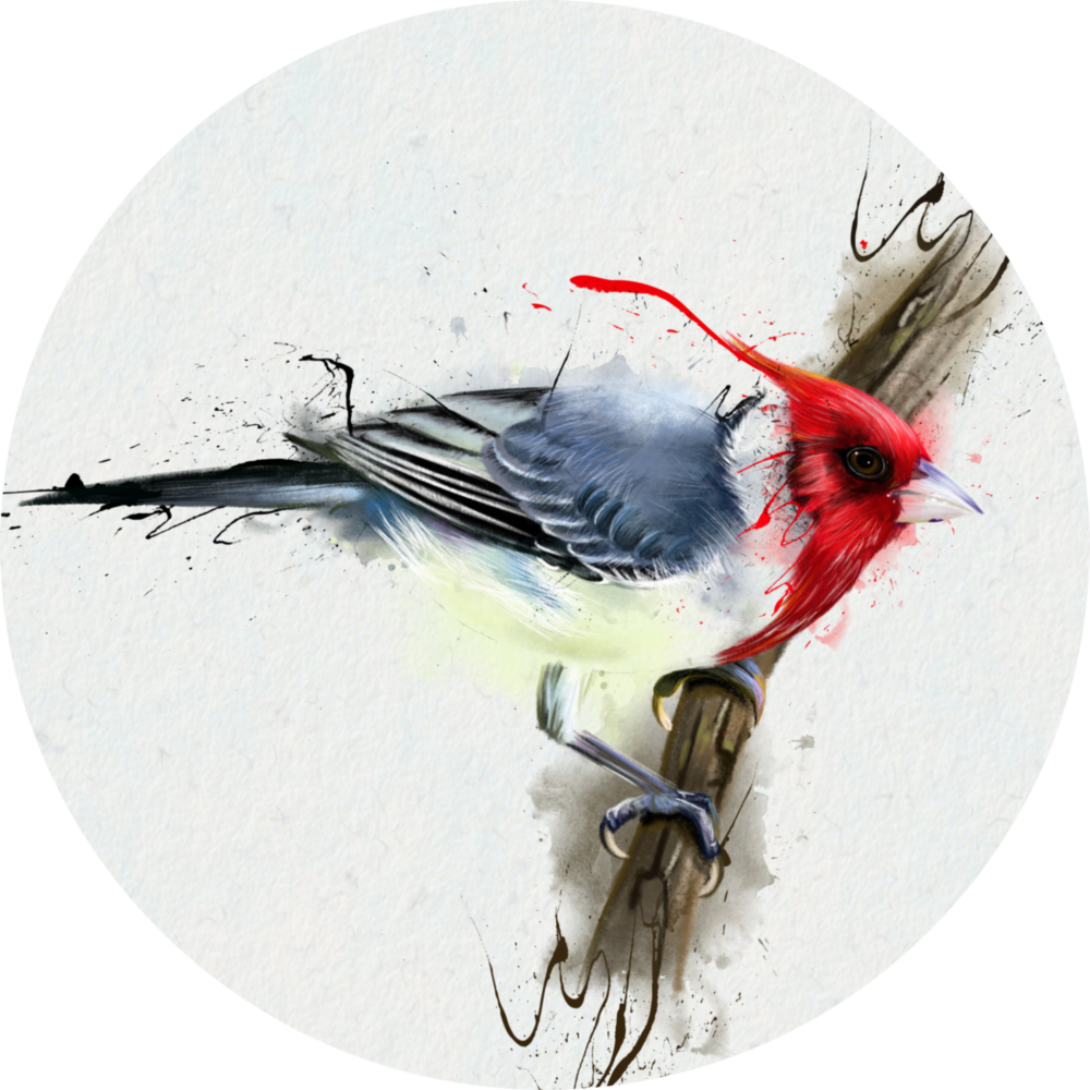 Bird Glass Wall Art