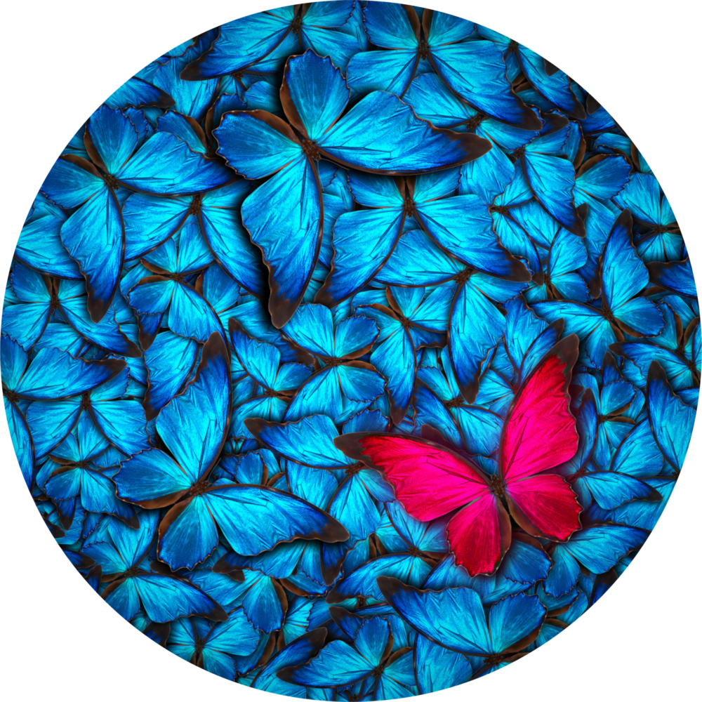 Butterfly's Dream Glass Wall Art