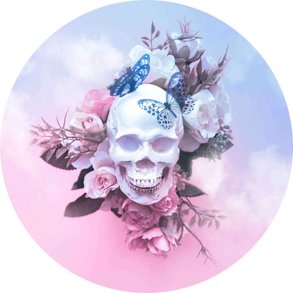 Skull Glass Wall Art