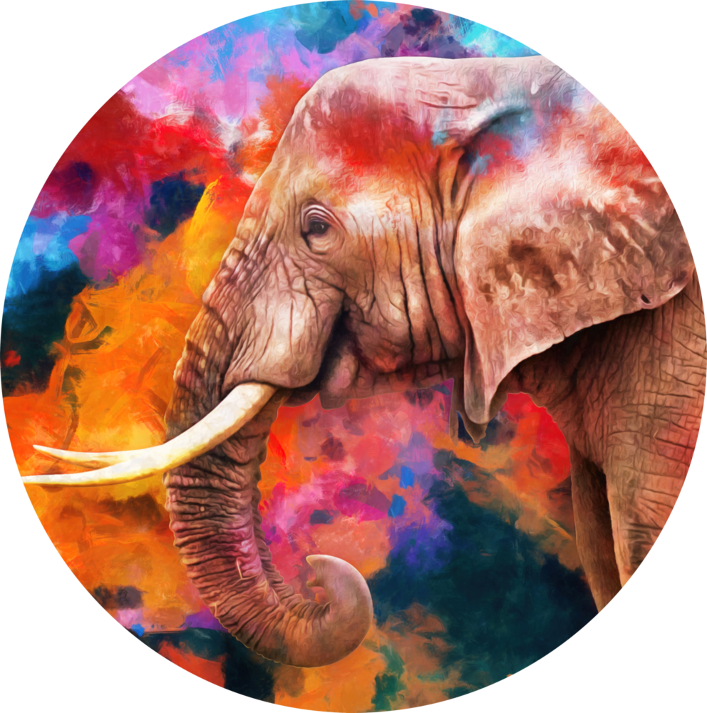 Elephant Sash Glass Wall Art