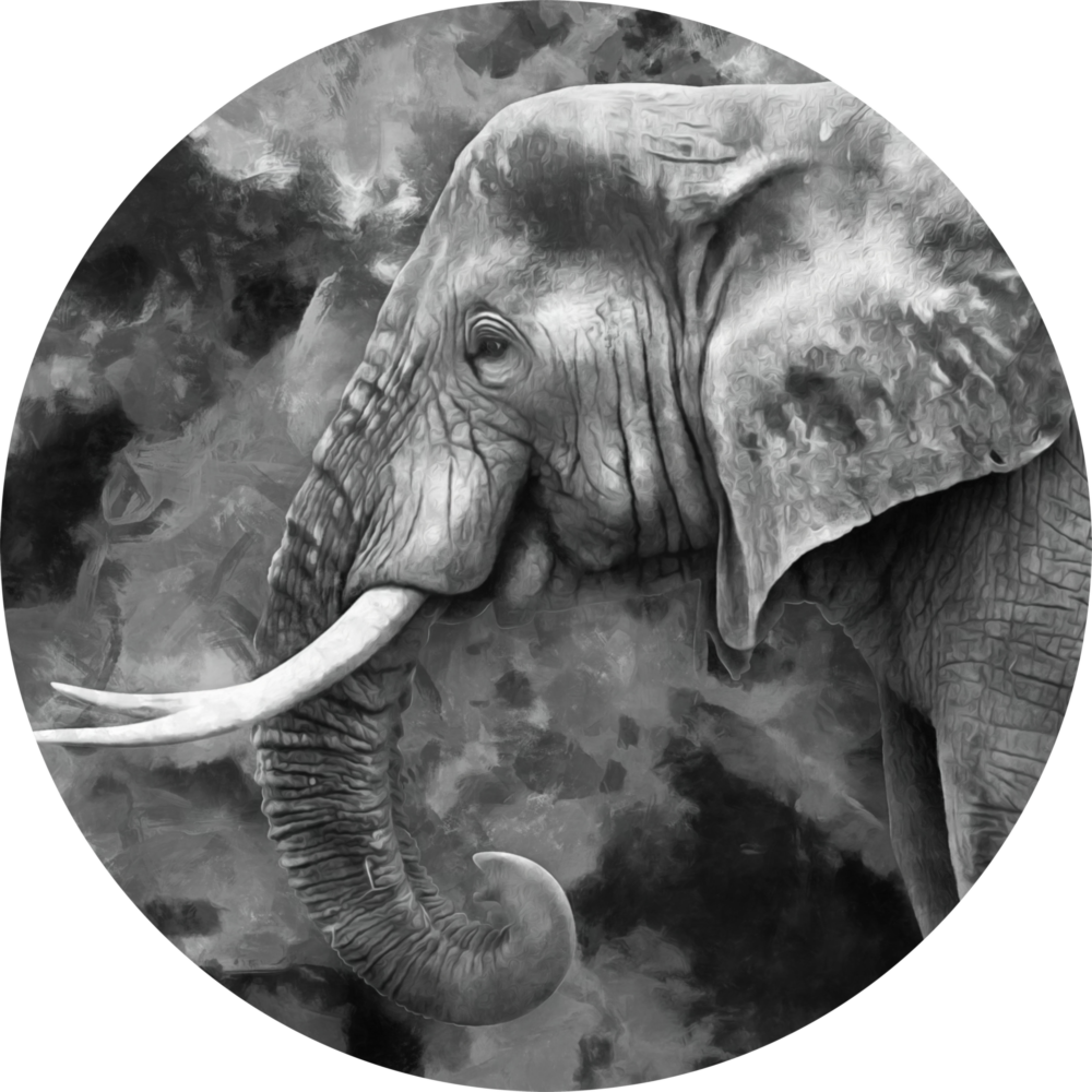 Elephant Glass Wall Art