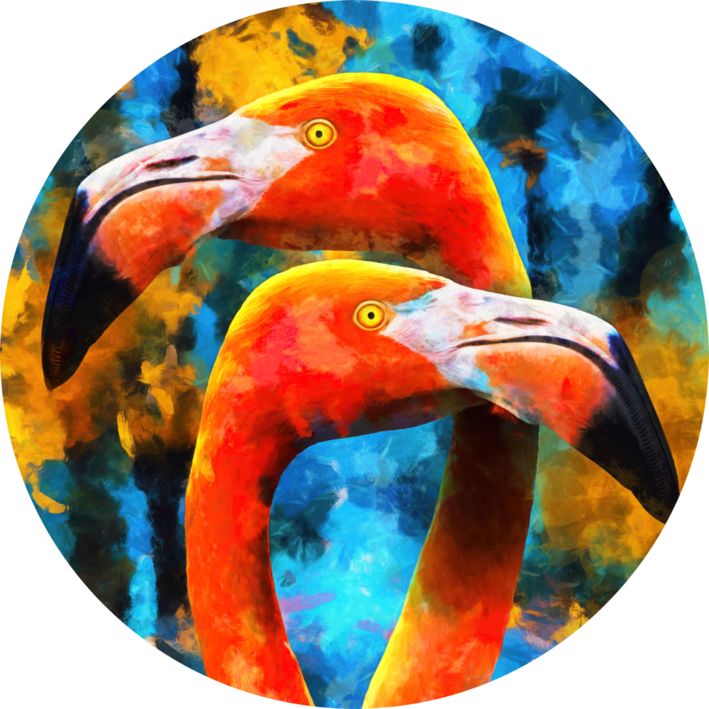 Flamingo Glass Wall Art