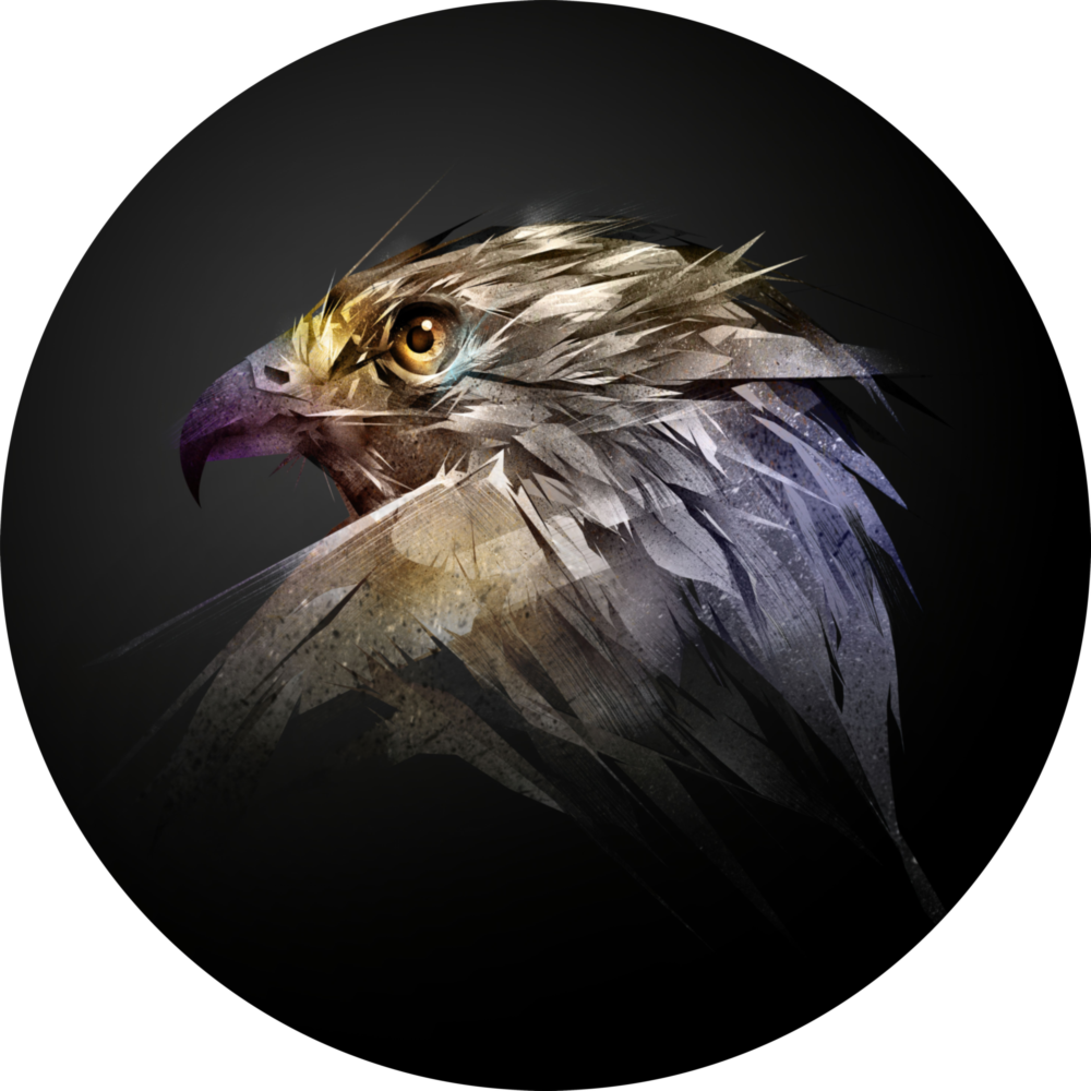 Falcon Glass Wall Art