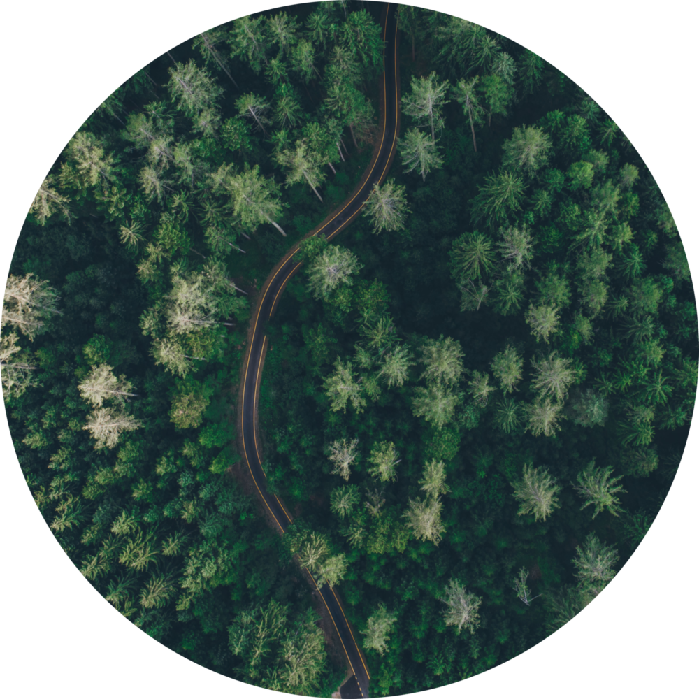Green Forest Glass Wall Art