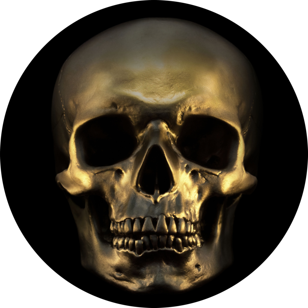 Skull Glass Wall Art