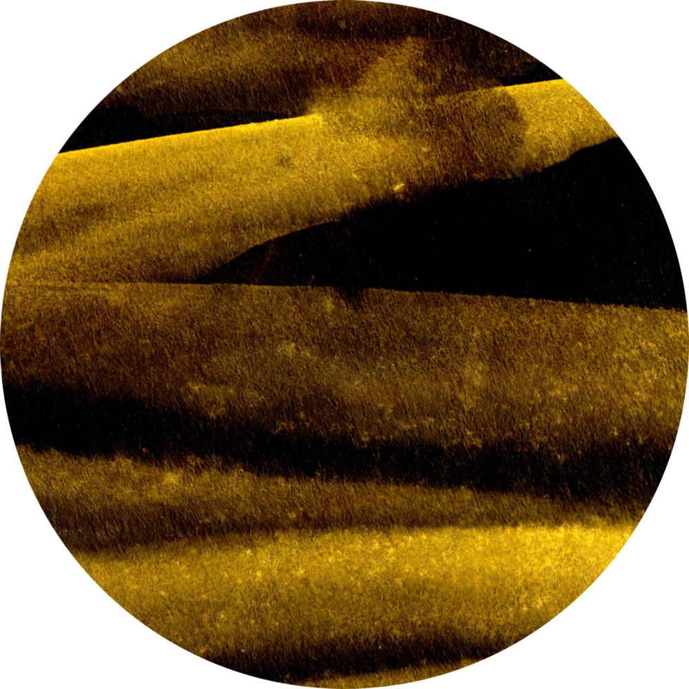 Yellow Abstract Glass Wall Art