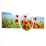 Red Poppy Field Blue Sky 3 Piece Glass Wall Art