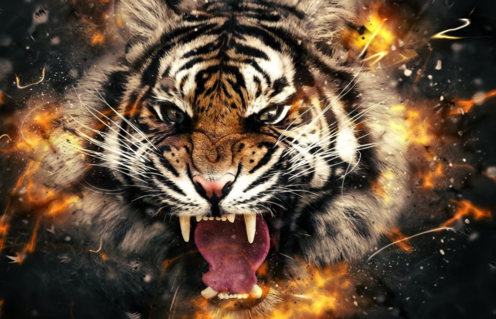 Anger of a Tiger Glass Wall Art