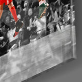 NBA All Stars Glass Wall Art