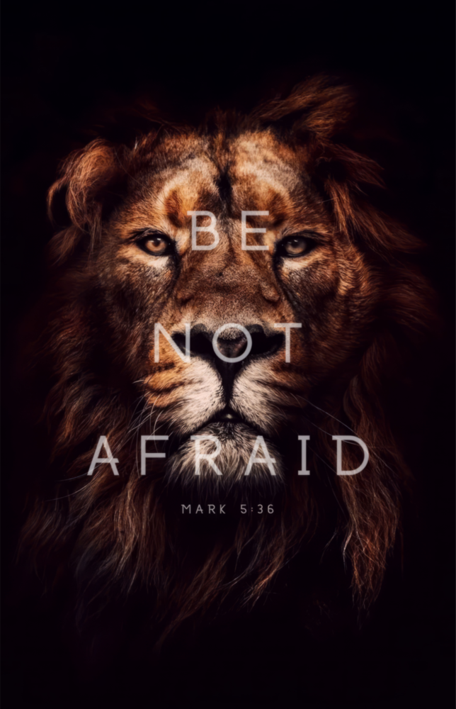 Lion Glass Wall Art