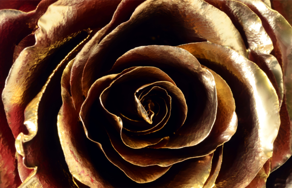 Rose Glass Wall Art