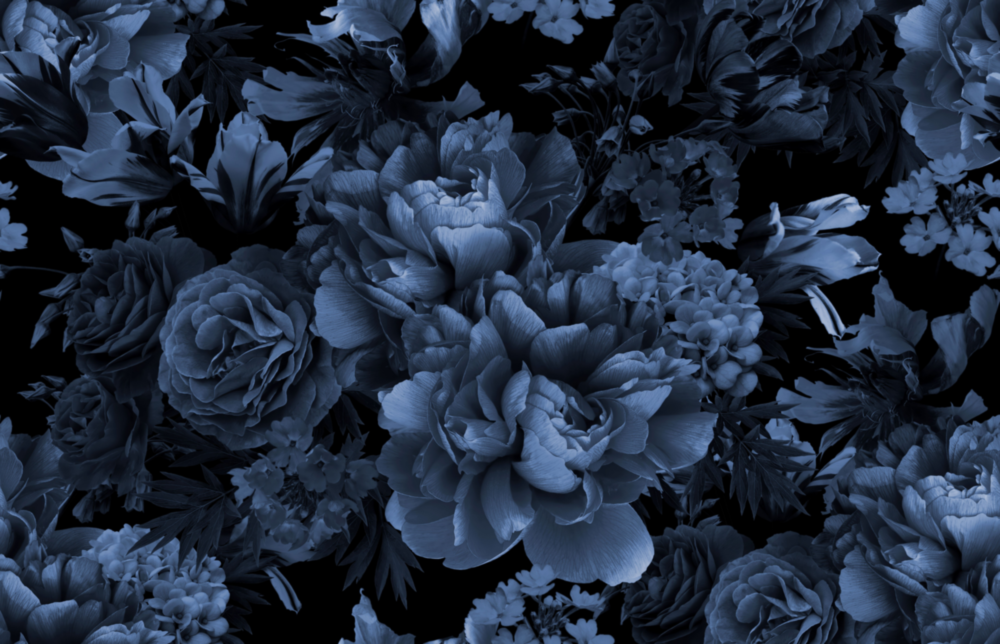 Elegant Midnight Bloom Glass Wall Art