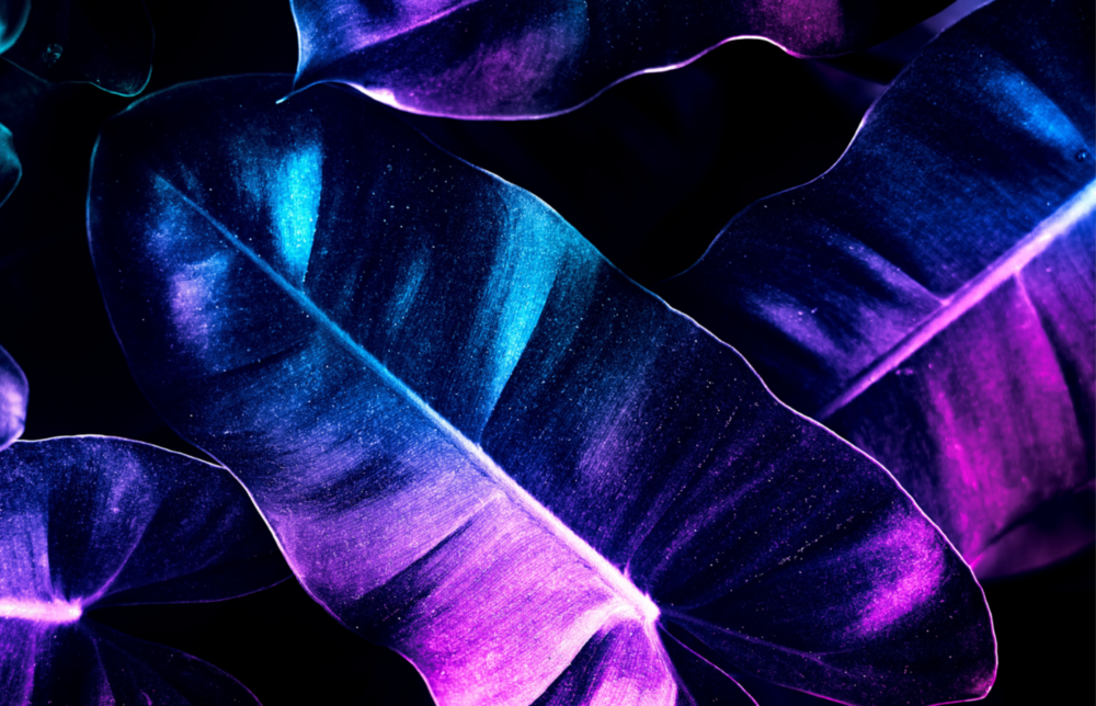 Glowing Leaves Glass Wall Art