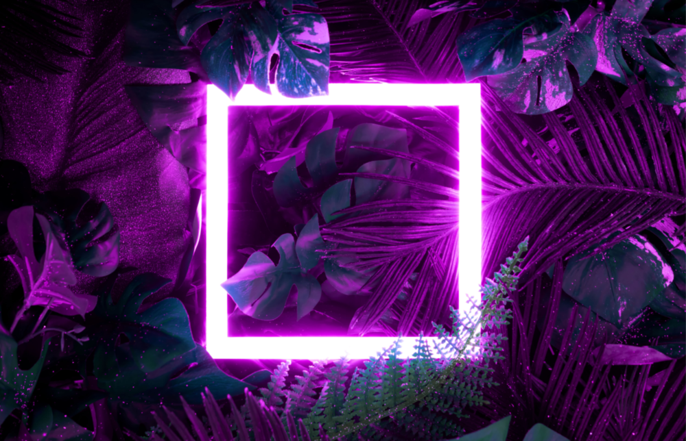 Neon Jungle Square Glass Wall Art