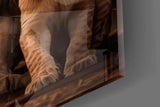 Lion Family in Shadows Glass Wall Art