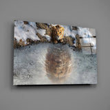 Reflections of the Wild Glass Wall Art
