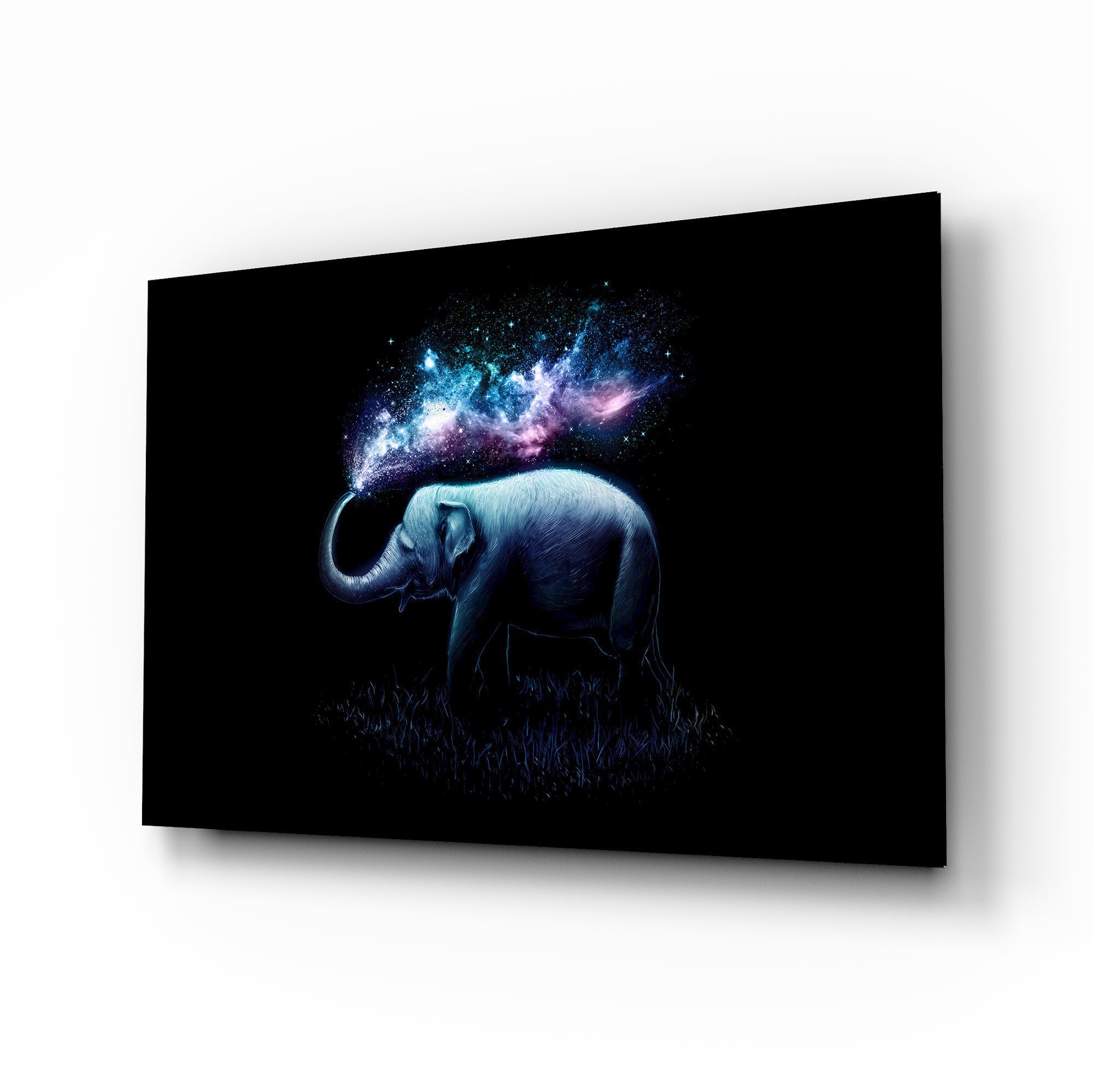 Elephant Galaxy Glass Wall Art