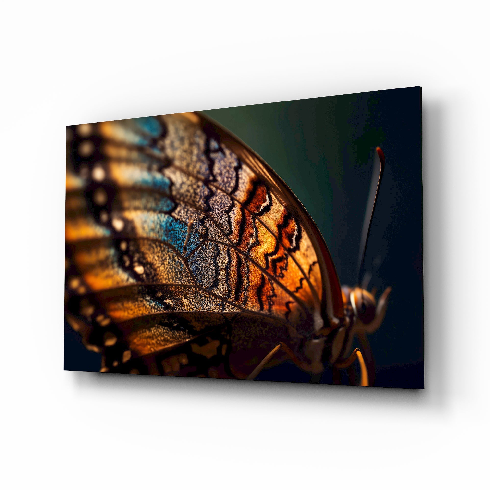 Butterfly Wing in Fire Glass Wall Art