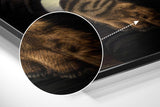 Brushed Aluminium Dibond Wall Art