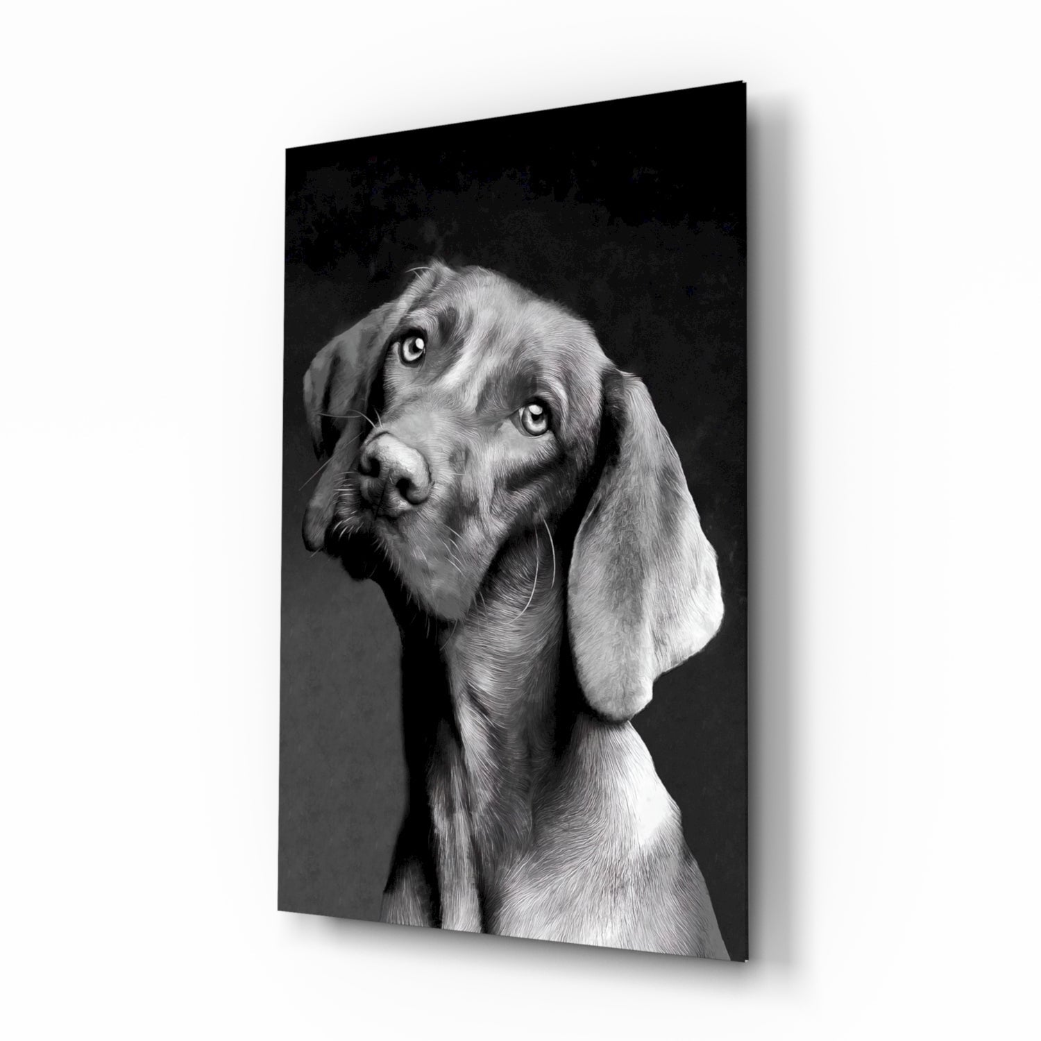 Innocent Dog Glass Wall Art.