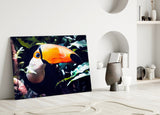 Toco Toucan Glass Wall Art.