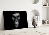 Gorilla Glass Wall Art.