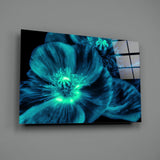 Malvales Flower Glass Wall Art.