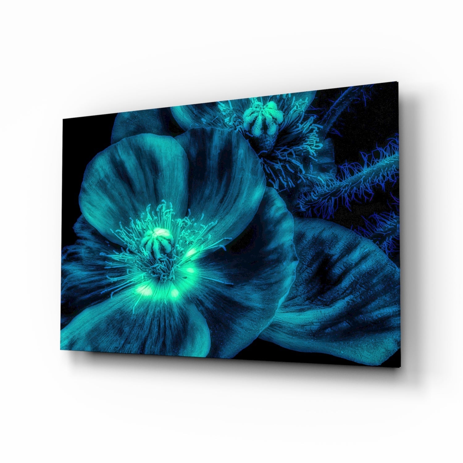 Malvales Flower Glass Wall Art.
