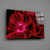Malvales Flower Glass Wall Art.