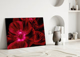 Malvales Flower Glass Wall Art.