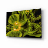 Malvales Flower Glass Wall Art.