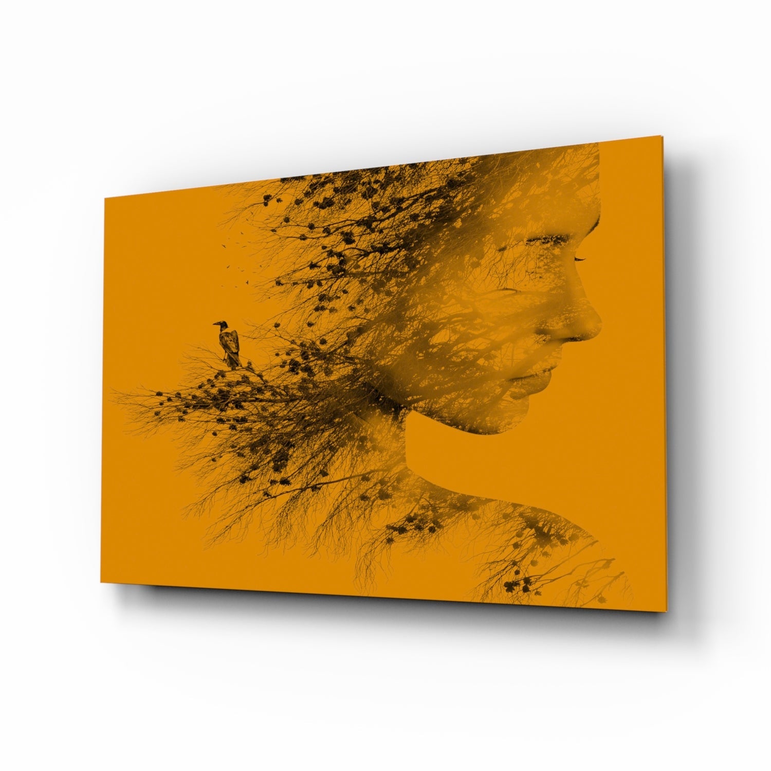 Woman Bird Glass Wall Art.