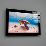Turtle Glass Wall Art.