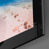 Turtle Glass Wall Art.