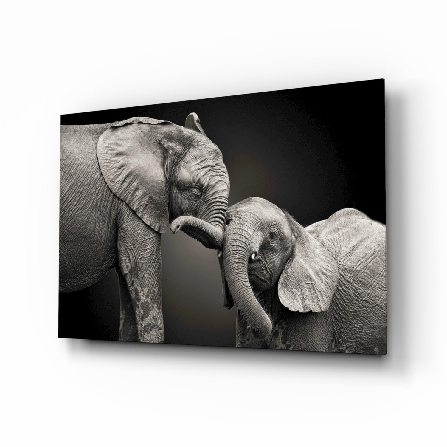 Elephants Glass Wall Art.