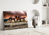 Horses Glass Wall Art.