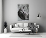 Cat Glass Wall Art.