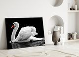 Swan Glass Wall Art.