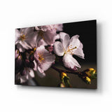 Macro Flower Glass Wall Art.