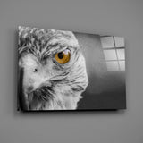 Falcon Glass Wall Art.