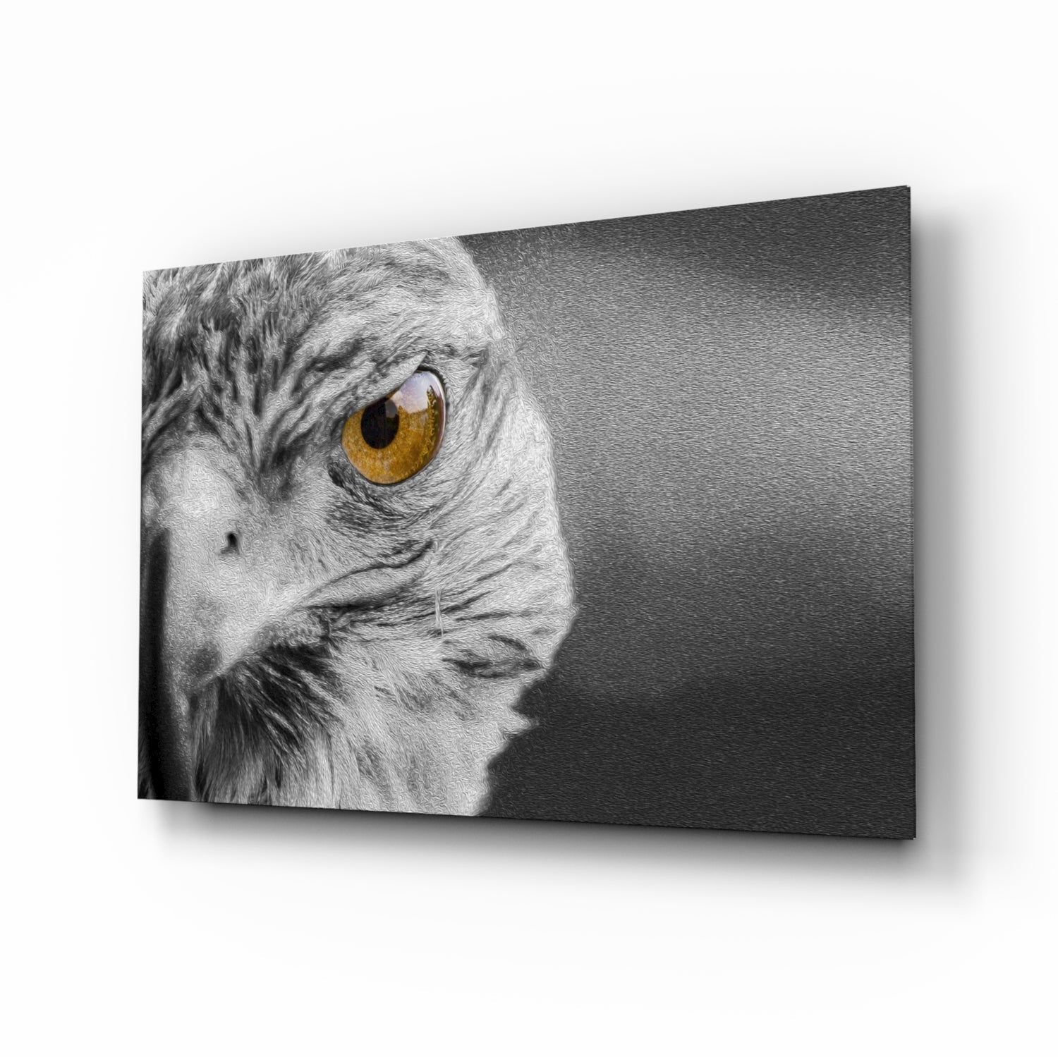Falcon Glass Wall Art.