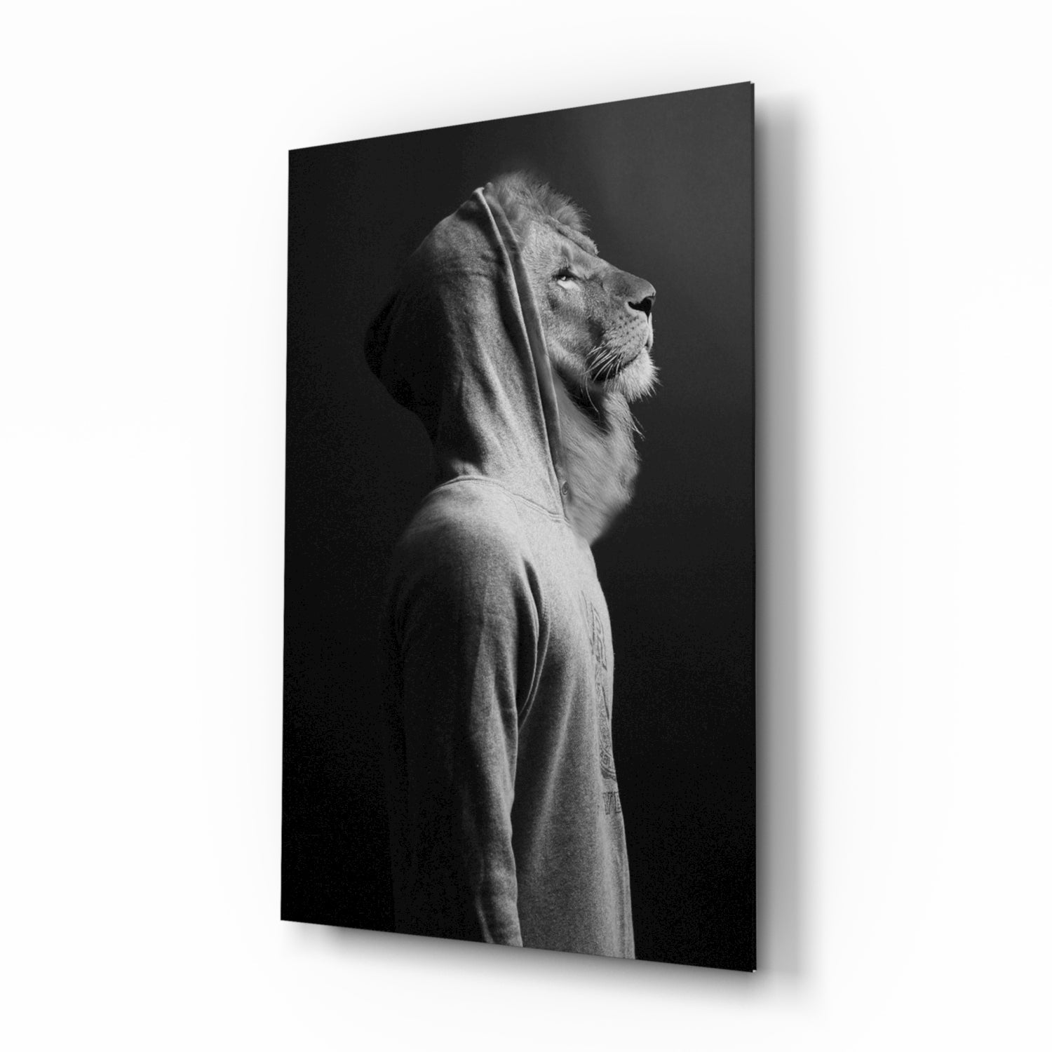 Lion Head Glass Wall Art.