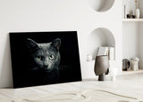 Cat Glass Wall Art.