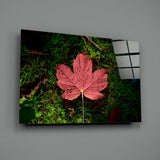 Pink Leaf Glass Wall Art.